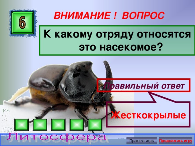 Жесткокрылые ВНИМАНИЕ ! ВОПРОС К какому отряду относятся это насекомое? Правильный ответ Правила игры Продолжить игру