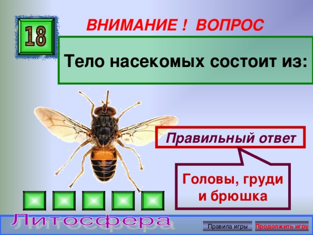 Головы, груди и брюшка ВНИМАНИЕ ! ВОПРОС Тело насекомых состоит из: Правильный ответ Правила игры Продолжить игру