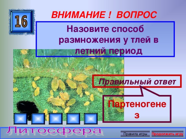 Партеногенез ВНИМАНИЕ ! ВОПРОС Назовите способ размножения у тлей в летний период Правильный ответ Правила игры Продолжить игру