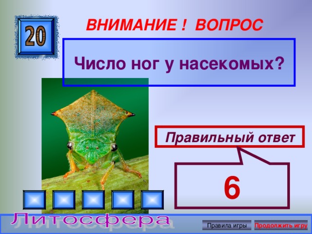 6 ВНИМАНИЕ ! ВОПРОС Число ног у насекомых? Правильный ответ Правила игры Продолжить игру