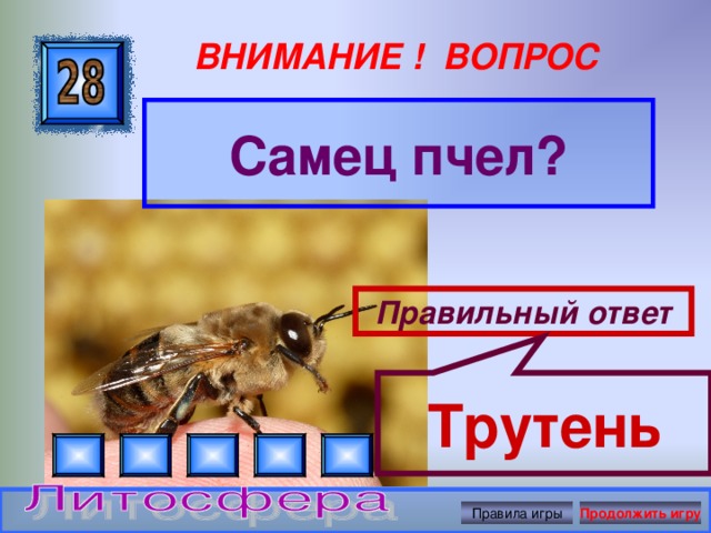 Трутень ВНИМАНИЕ ! ВОПРОС Самец пчел? Правильный ответ Правила игры Продолжить игру