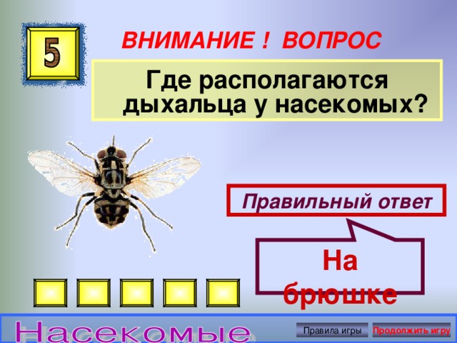 На брюшке ВНИМАНИЕ ! ВОПРОС Где располагаются дыхальца у насекомых? Правильный ответ Правила игры Продолжить игру