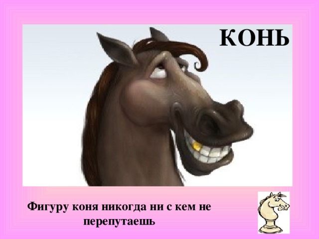 Кто такая эрика из коня боджека