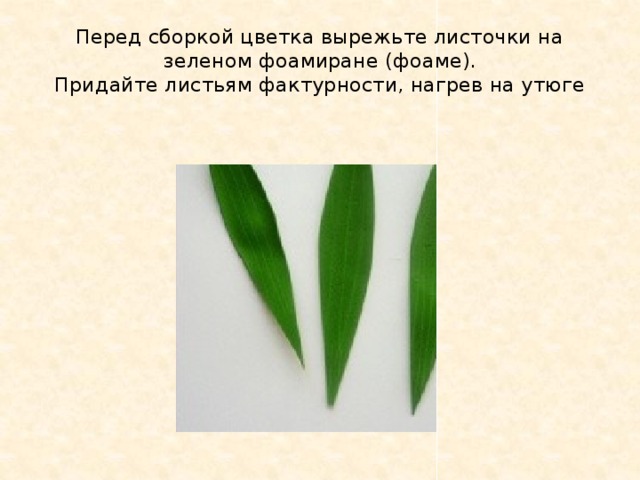 Перед сборкой цветка вырежьте листочки на зеленом фоамиране (фоаме).  Придайте листьям фактурности, нагрев на утюге