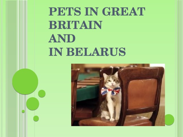 Pets in Great Britain  and  in Belarus