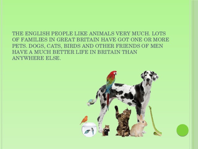 The English people like animals very much. Lots of families in Great Britain have got one or more pets. Dogs, cats, birds and other friends of men have a much better life in Britain than anywhere else.