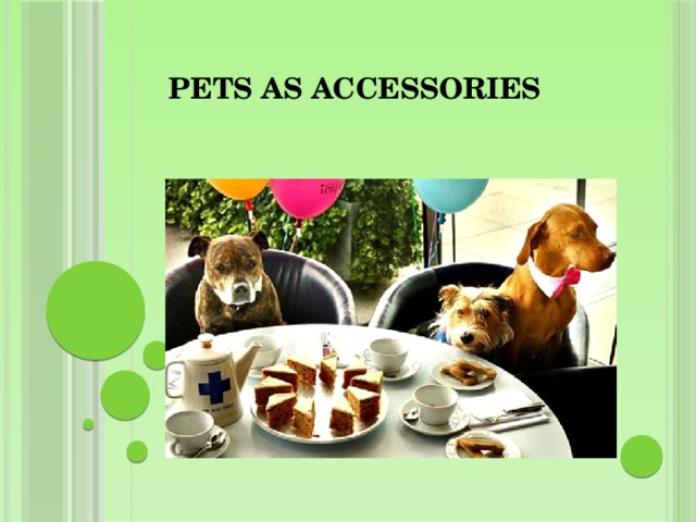 Pets as accessories