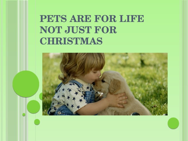 Pets are for life not just for Christmas