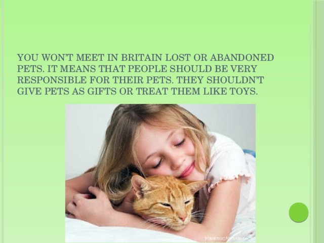 You won’t meet in Britain lost or abandoned pets. It means that people should be very responsible for their pets. They shouldn’t give pets as gifts or treat them like toys.