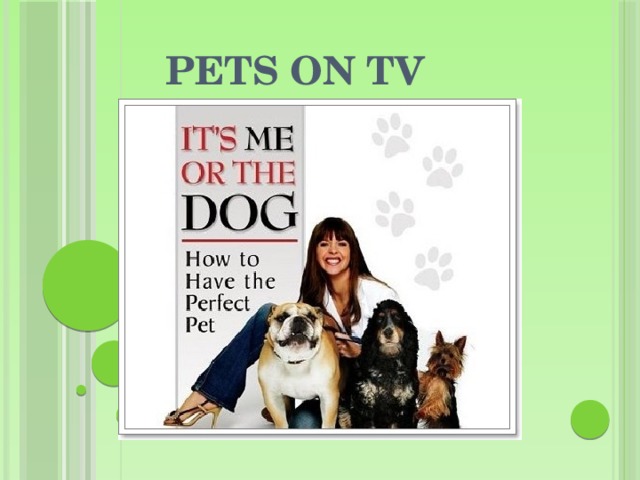 Pets on TV