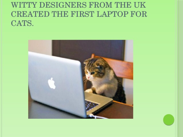 Witty designers from the UK created the first laptop for cats.