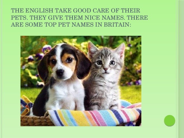 The English take good care of their pets. They give them nice names. There are some top pet names in Britain: