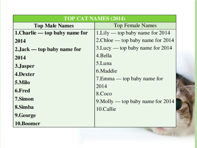 TOP CAT NAMES (2014) Top Male Names Top Female Names 1.Charlie — top baby name for 2014 2.Jack — top baby name for 2014 1.Lily — top baby name for 2014 2.Chloe — top baby name for 2014 3.Jasper 4.Dexter 3.Lucy — top baby name for 2014 5.Milo 4.Bella 5.Luna 6.Fred 7.Simon 6.Maddie 7.Emma — top baby name for 2014 8.Simba 8.Coco 9.George 10.Boomer 9.Molly — top baby name for 2014 10.Callie