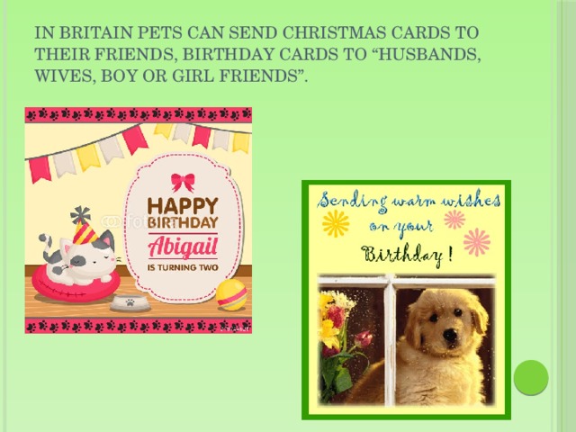 In Britain pets can send Christmas cards to their friends, birthday cards to “husbands, wives, boy or girl friends”.