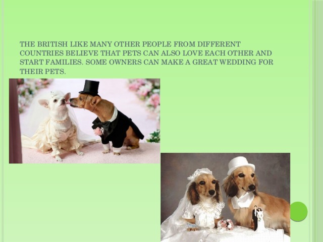 The British like many other people from different countries believe that pets can also love each other and start families. Some owners can make a great wedding for their pets.