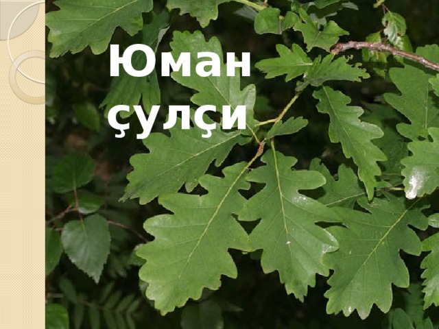 Юман ҫулҫи