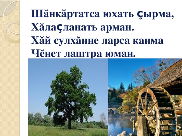 Шăнкăртатса юхать ç ырма, Хăла ç ланать арман. Хăй сулхăнне ларса канма Чĕнет лаштра юман.