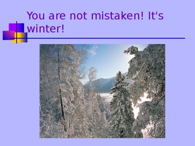 You are not mistaken! It's winter!