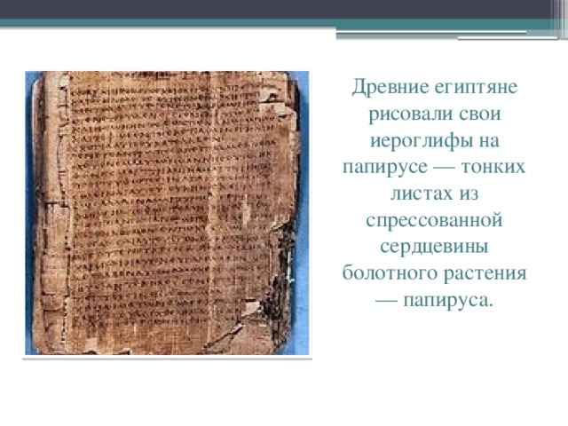 Древние египтяне рисовали свои иероглифы на папирусе — тонких листах из спрессованной сердцевины болотного растения — папируса.