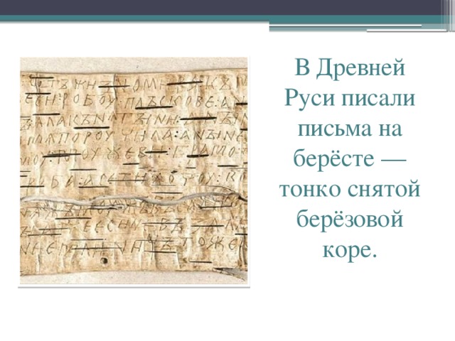 В Древней Руси писали письма на берёсте — тонко снятой берёзовой коре.