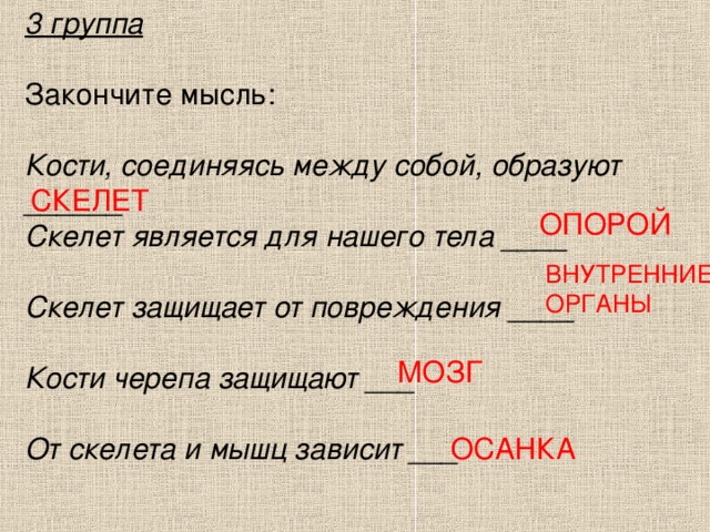 3 группа  Закончите мысль: Кости, соединяясь между собой, образуют ______ Скелет является для нашего тела ____  Скелет защищает от повреждения ____  Кости черепа защищают ___  От скелета и мышц зависит ___ СКЕЛЕТ ОПОРОЙ ВНУТРЕННИЕ ОРГАНЫ МОЗГ ОСАНКА