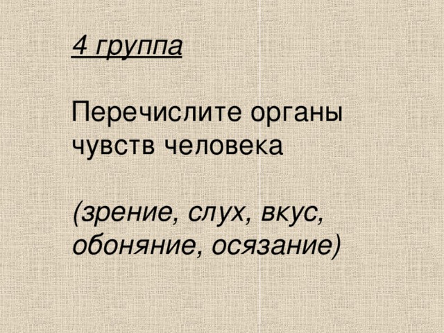 4 группа Перечислите органы чувств человека (зрение, слух, вкус, обоняние, осязание)