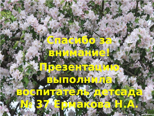 Спасибо за внимание! Презентацию выполнила воспитатель детсада № 37 Ермакова Н.А.