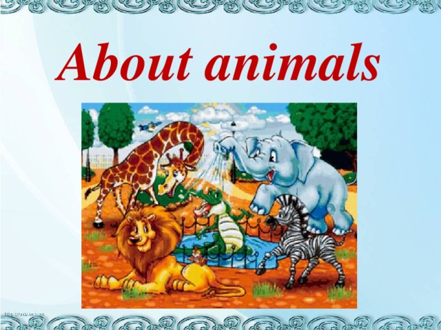 About animals