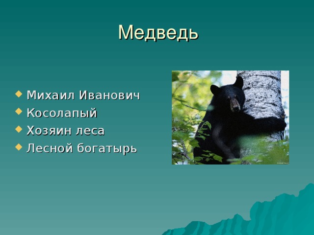 Медведь