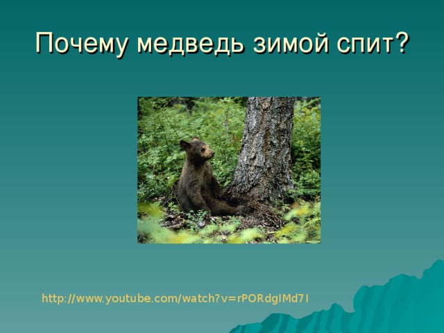 Почему медведь зимой спит? http://www.youtube.com/watch?v=rPORdgIMd7I