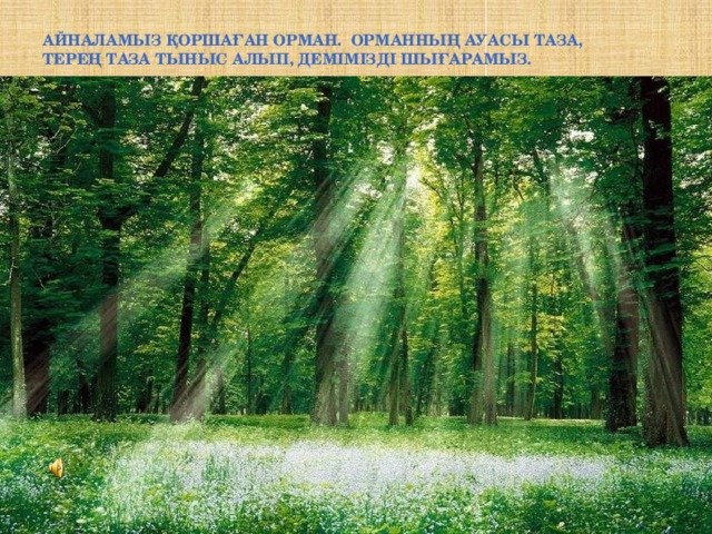 Табиғат порносының көрінісі