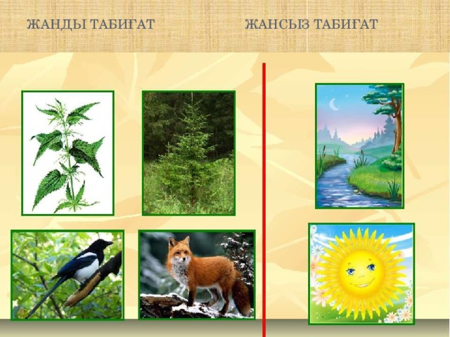 WWE Лана порно