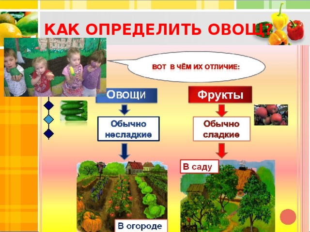 КАК ОПРЕДЕЛИТЬ ОВОЩ?