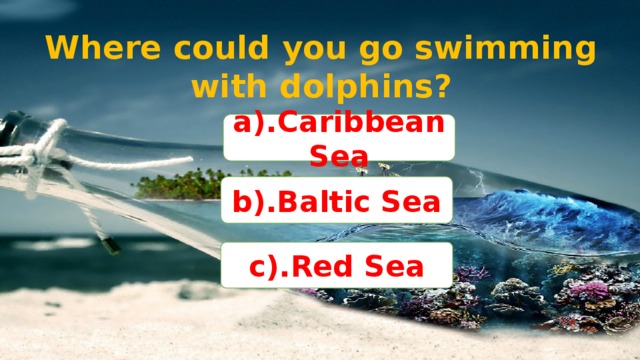Where could you go swimming with dolphins? a).Caribbean Sea b).Baltic Sea c).Red Sea