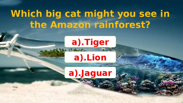 Which big cat might you see in the Amazon rainforest? a).Tiger a).Lion a).Jaguar