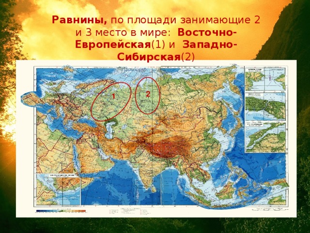 Равнины, по площади занимающие 2 и 3 место в мире: Восточно-Европейская (1) и Западно- Сибирская (2) 2 1