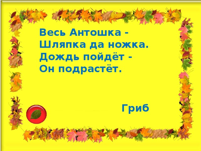 Весь Антошка -  Шляпка да ножка.  Дождь пойдёт -  Он подрастёт. Гриб