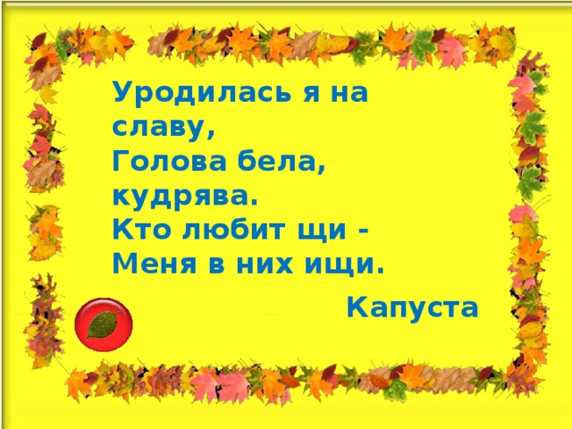 Уродилась я на славу,  Голова бела, кудрява.  Кто любит щи -  Меня в них ищи. Капуста