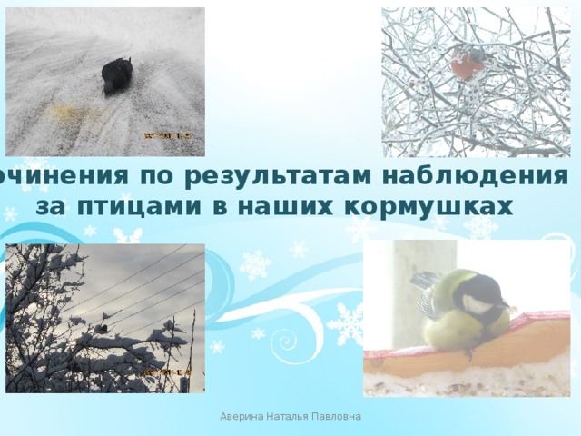 Сочинения по результатам наблюдения за птицами в наших кормушках Аверина Наталья Павловна