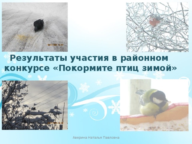 Результаты участия в районном конкурсе «Покормите птиц зимой» Аверина Наталья Павловна