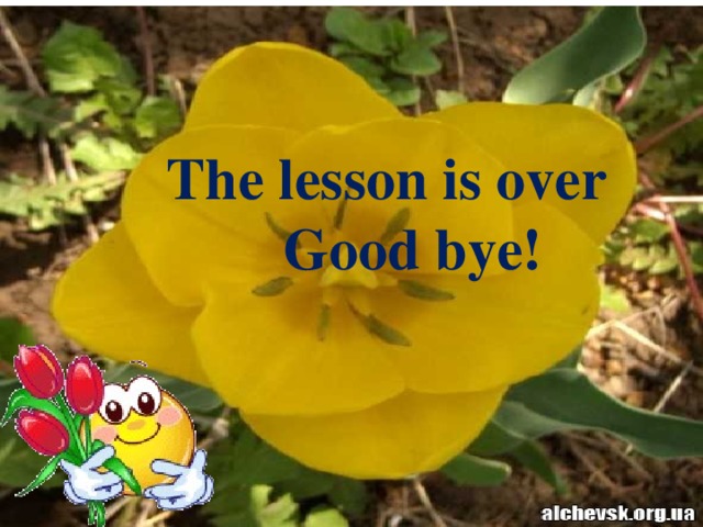 The lesson is over  Good bye!