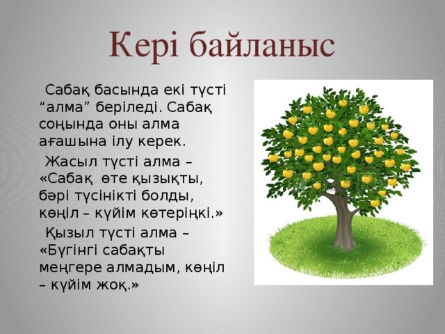 Кері байланыс  Сабақ басында екі түсті “алма” беріледі. Сабақ соңында оны алма ағашына ілу керек.  Жасыл түсті алма – «Сабақ өте қызықты, бәрі түсінікті болды, көңіл – күйім көтеріңкі.»  Қызыл түсті алма – «Бүгінгі сабақты меңгере алмадым, көңіл – күйім жоқ.»