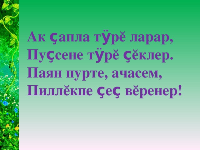 Ак ç апла т ÿ рĕ ларар, Пу ç сене т ÿ рĕ ç ĕклер. Паян пурте, ачасем, Пиллĕкпе ç е ç вĕренер!