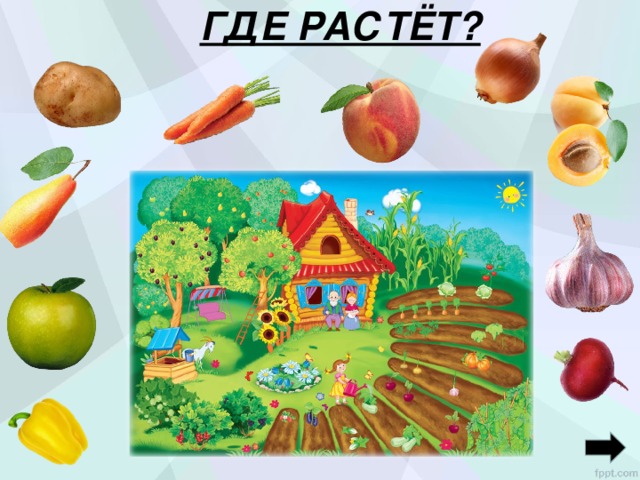 ГДЕ РАСТЁТ?