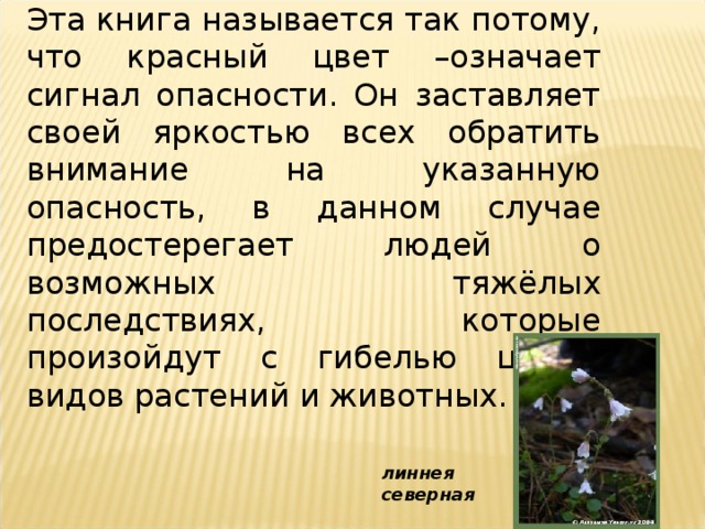 Эта книга называется так потому, что красный цвет –означает сигнал опасности. Он заставляет своей яркостью всех обратить внимание на указанную опасность, в данном случае предостерегает людей о возможных тяжёлых последствиях, которые произойдут с гибелью целых видов растений и животных. линнея северная                                        