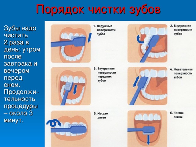 Порядок чистки зубов  Зубы надо чистить 2 раза в день: утром после завтрака и вечером перед сном. Продолжи-тельность процедуры – около 3 минут.