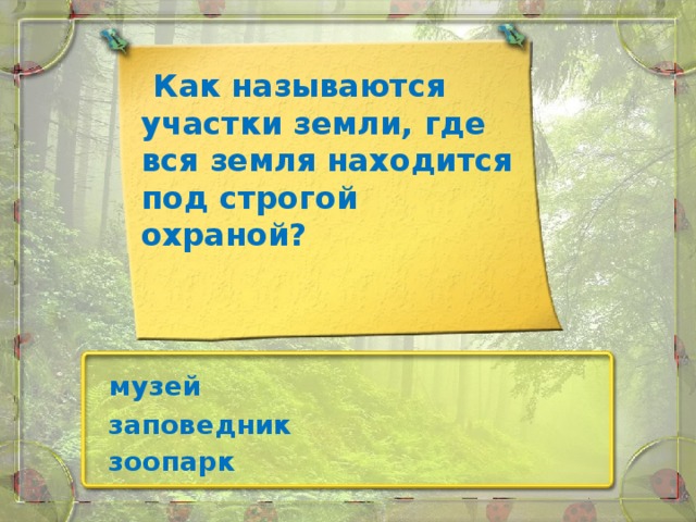 Как называются участки земли, где вся земля находится под строгой охраной? музей заповедник зоопарк