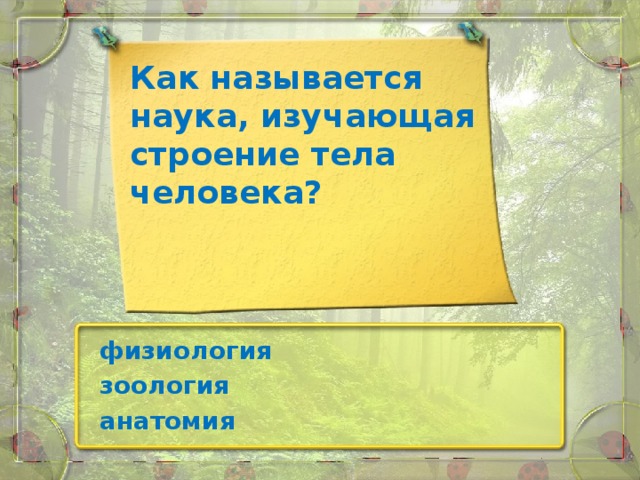 Как называется наука, изучающая строение тела человека? физиология  зоология   анатомия  