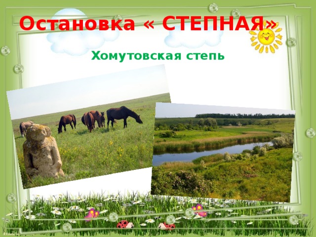 Остановка « СТЕПНАЯ» Хомутовская степь