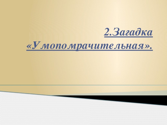 2.Загадка  «Умопомрачительная».